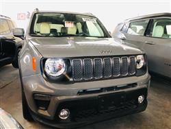 جيب رينيجيد